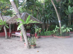 NEWLY RENOVATED!!! Felipa Beach and Guesthouse - Bird of Paradise